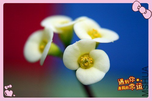 ��Ƭ 071_����.jpg