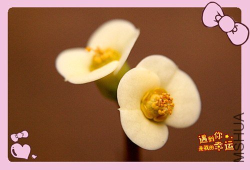 ��Ƭ 073_����.jpg