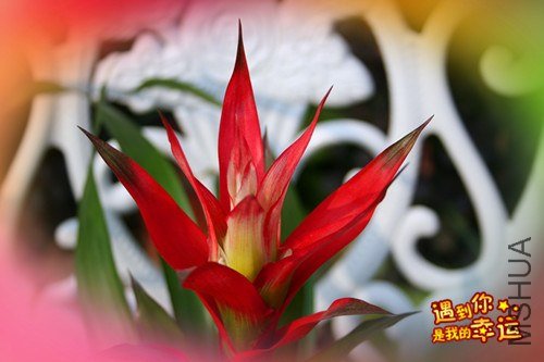 ��Ƭ 135_����.jpg