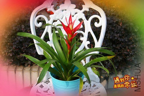 ��Ƭ 131_����.jpg