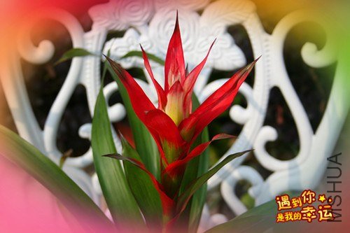 ��Ƭ 133_����.jpg