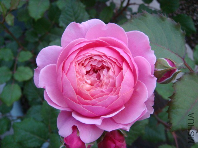 DSC03048.JPG