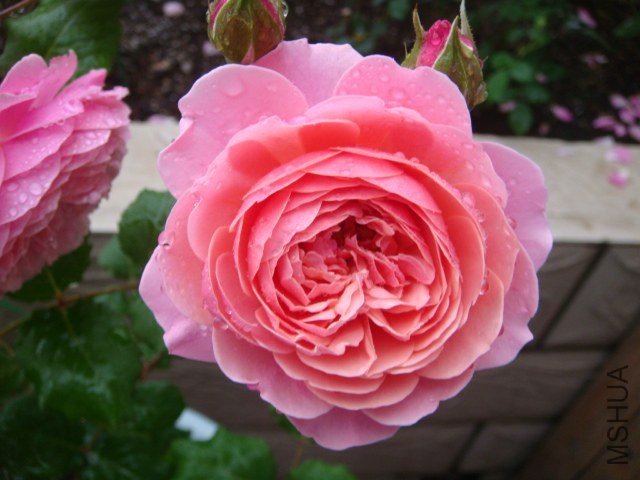 DSC03141.JPG