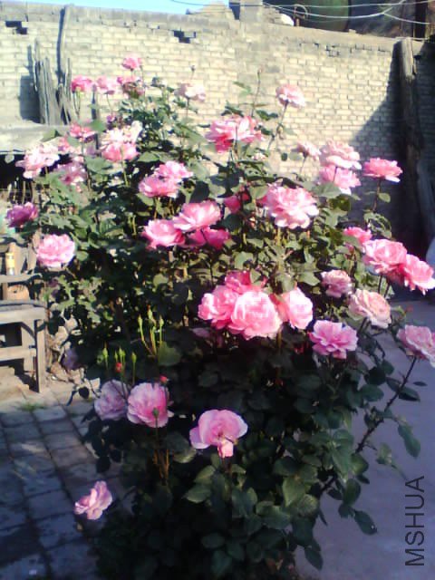 3��ͼƬ��ͬһ��