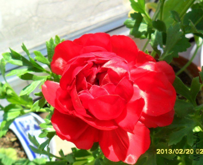 U5F]GYF3RVM6{95LM`[)UFQ.jpg