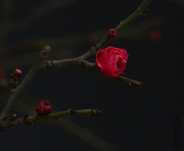 U(WVUE%[7GKVW@TR7PHV%XF.jpg