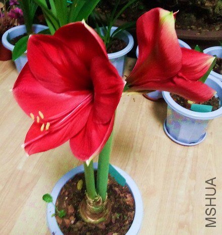20130224_200143.jpg