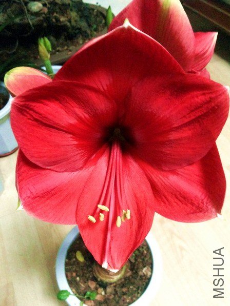 20130224_200149.jpg