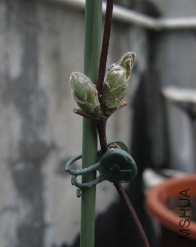 QQ��ͼ20130226163410.jpg