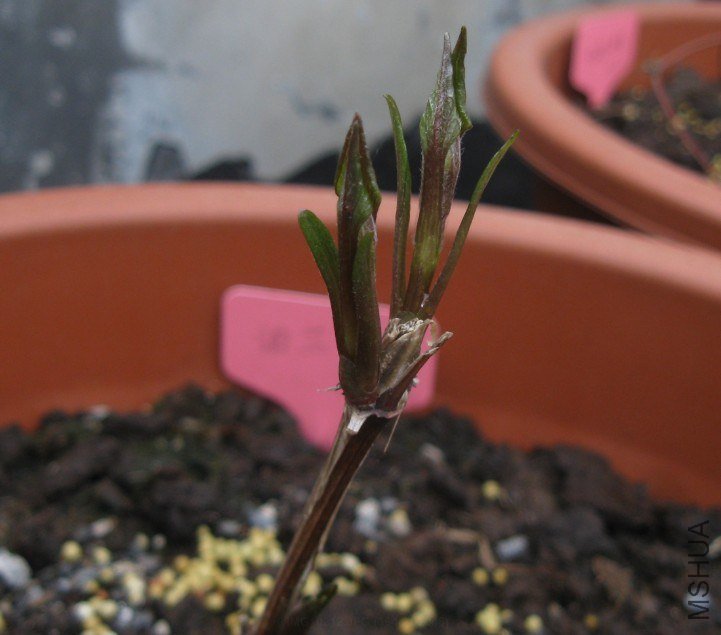 QQ��ͼ20130226163503.jpg