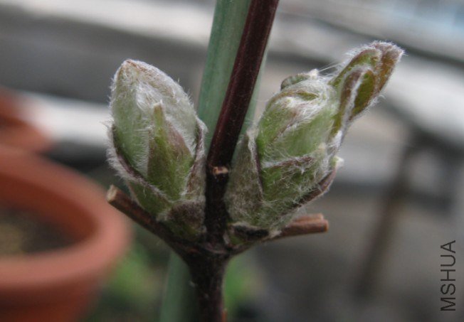 QQ��ͼ20130226163608.jpg
