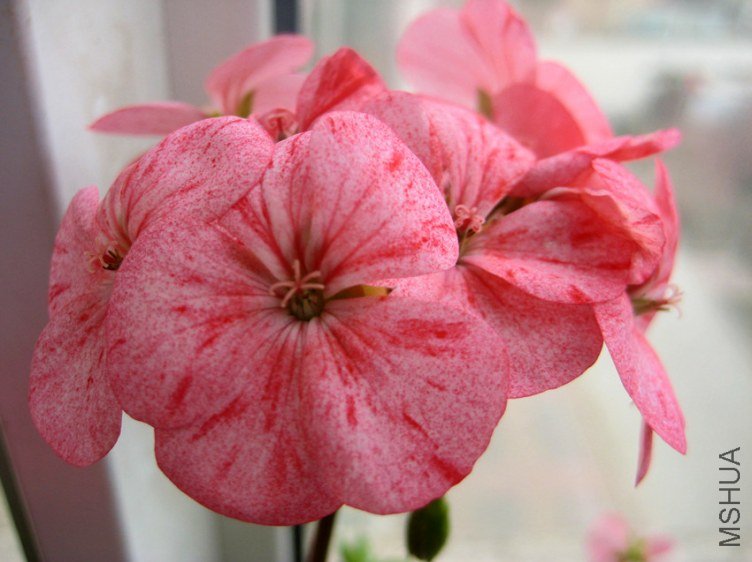 ��Ƭ 224_����.jpg