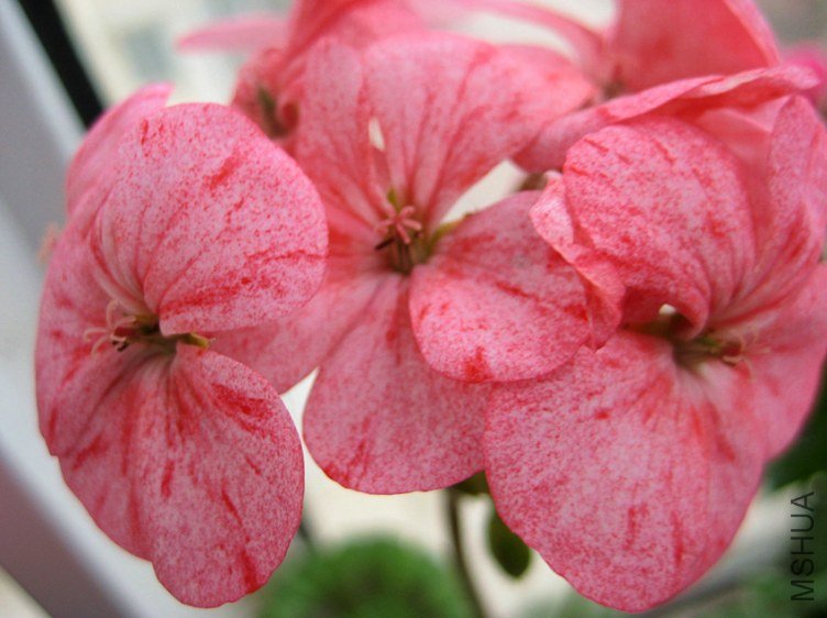 ��Ƭ 228_����.jpg