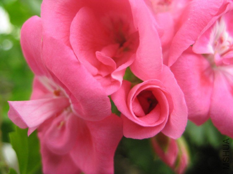 ��Ƭ 227_����.jpg