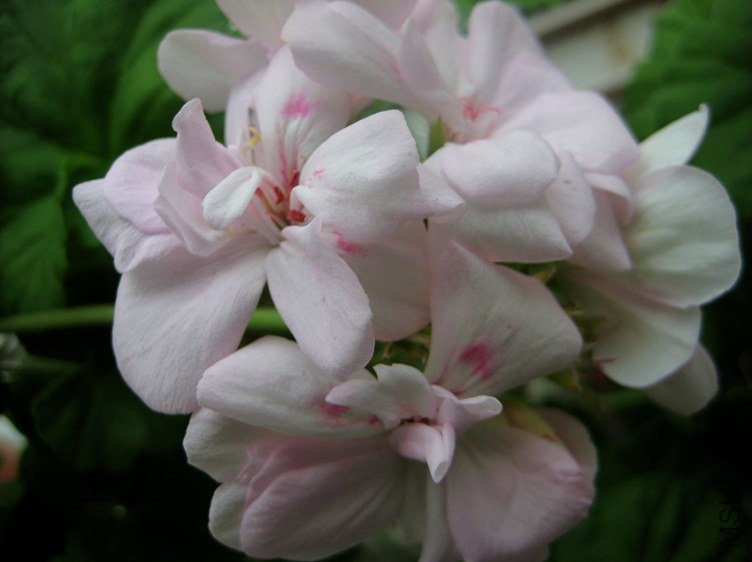 ��Ƭ 229_����.jpg