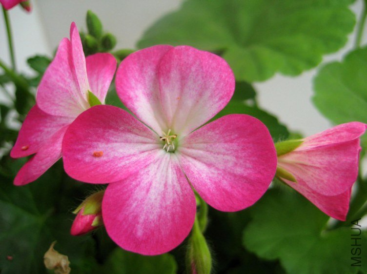 ��Ƭ 234_����.jpg