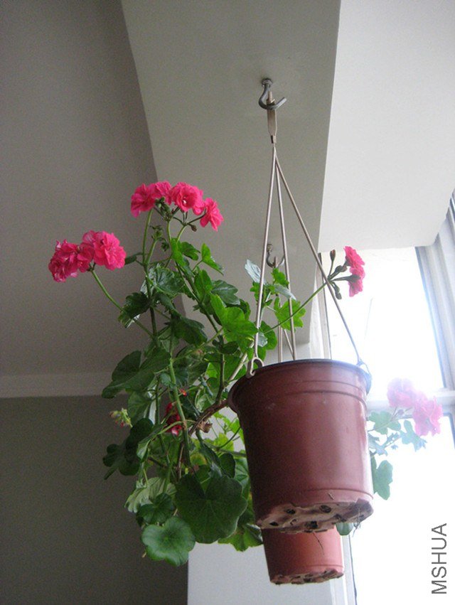 ��Ƭ 243_����_����.jpg