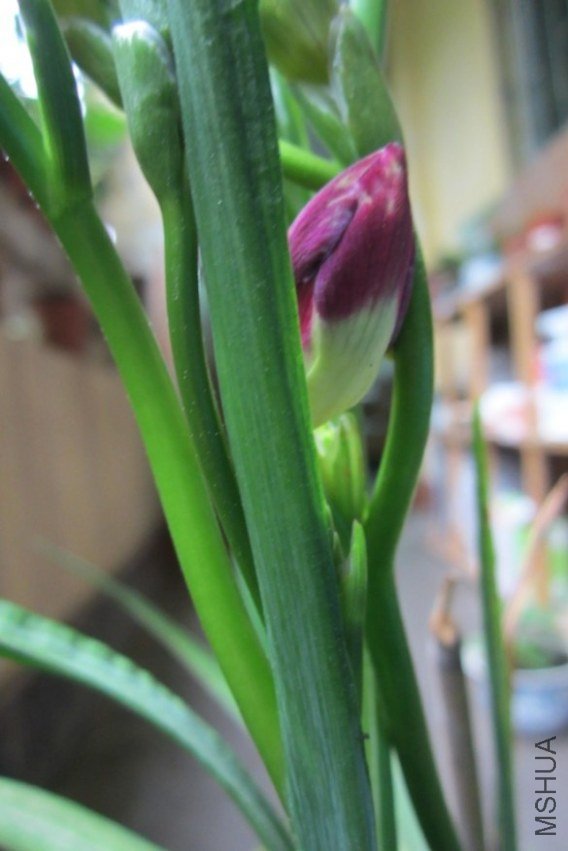 ���Լ��ĵ�������