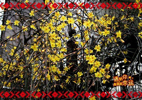 ��Ƭ 027_����.jpg