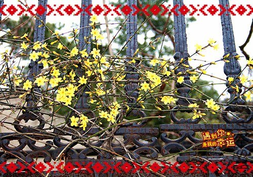 ��Ƭ 023_����.jpg