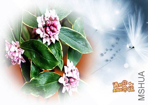 ��Ƭ 103_����.jpg