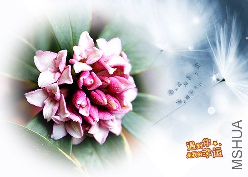 ��Ƭ 099_����.jpg