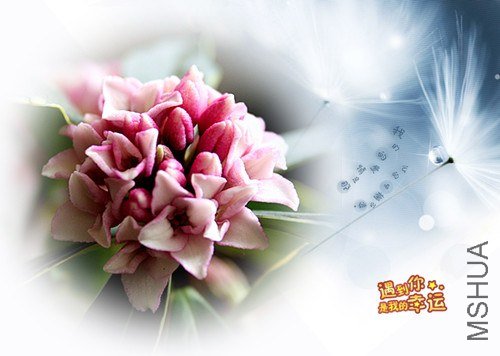 ��Ƭ 095_����.jpg