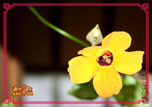 ��Ƭ 108_����.jpg