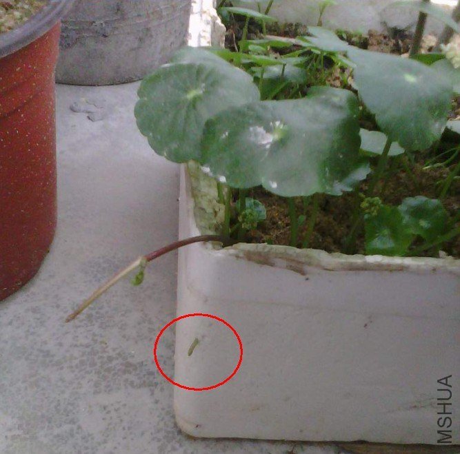 QQ��ͼ20130226212801.jpg
