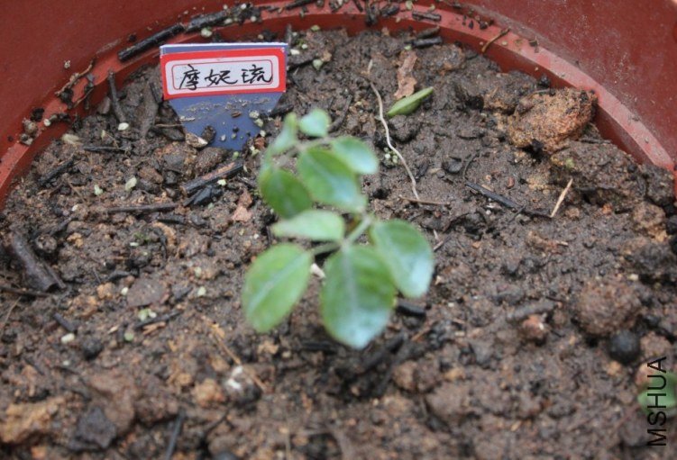 2013-02-26_210526.jpg