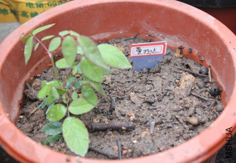 2013-02-26_210540.jpg
