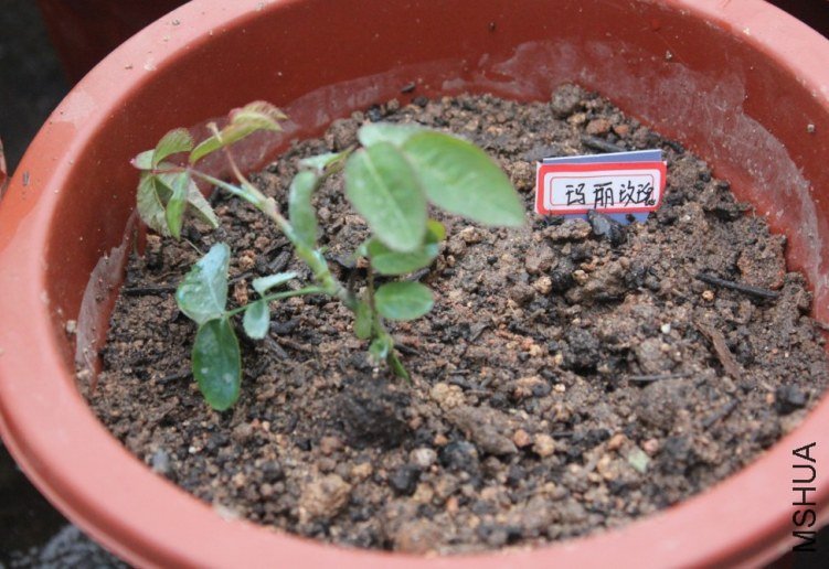 2013-02-26_210630.jpg