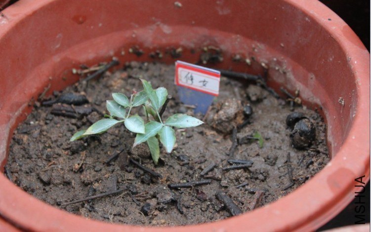 2013-02-26_210754.jpg