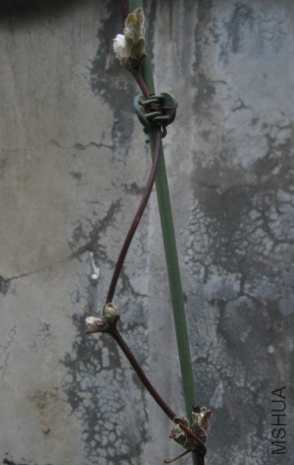 QQ��ͼ20130226163447.jpg