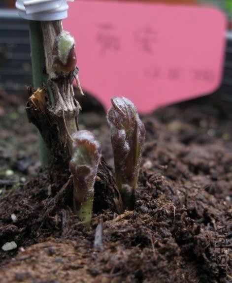 QQ��ͼ20130226163636.jpg