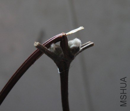 QQ��ͼ20130226221021.jpg