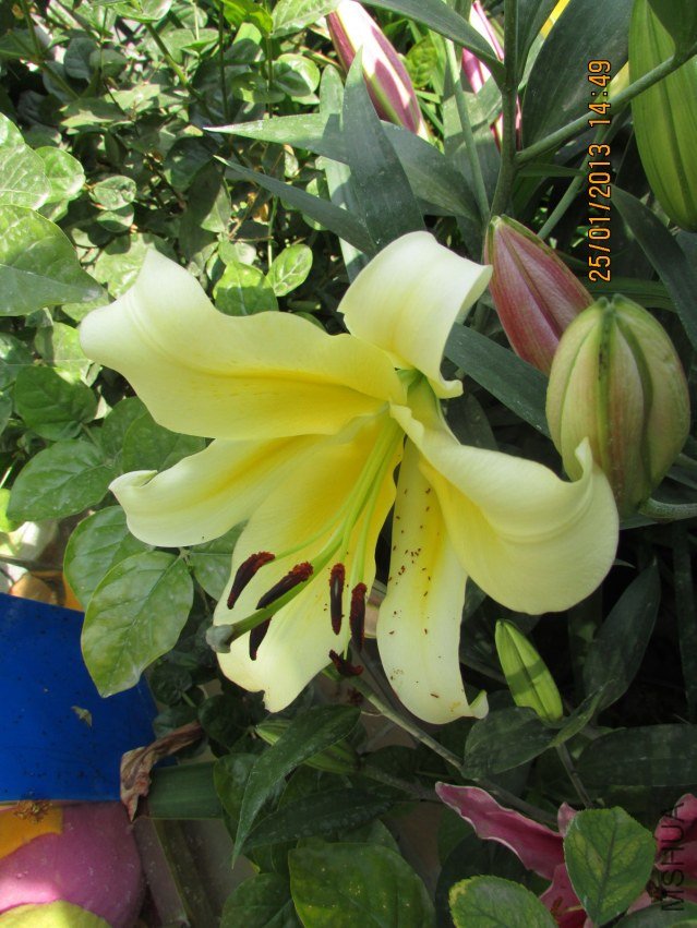 IMG_1635_nEO_IMG.jpg
