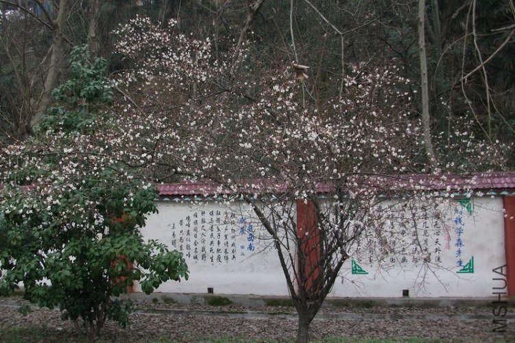 DSCF6670.JPG