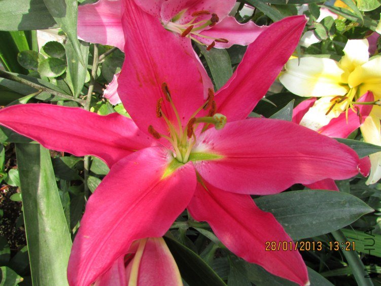 IMG_1725_nEO_IMG.jpg