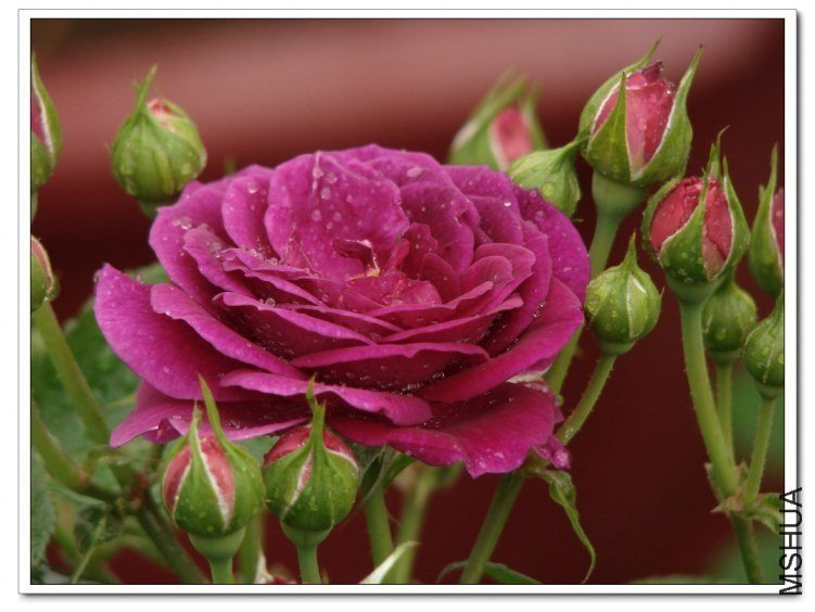 ����֮��2 of nluzzzz.jpg