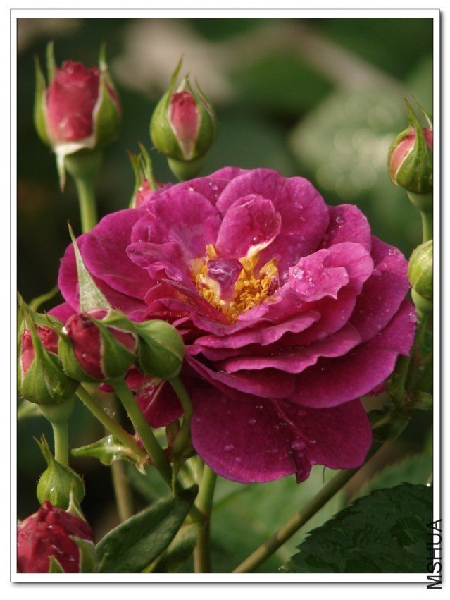 ����֮��3 of nluzzzz.jpg