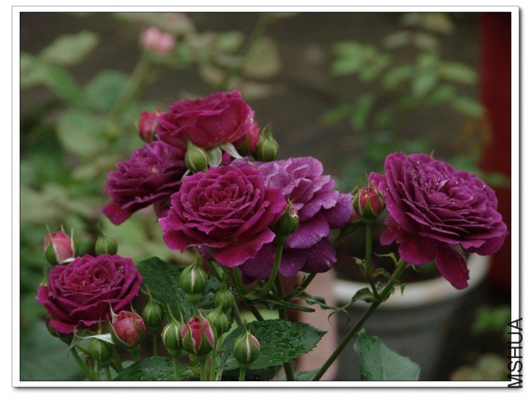 ����֮��8 of nluzzzz.jpg