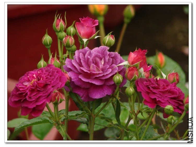 ����֮��5 of nluzzzz.jpg