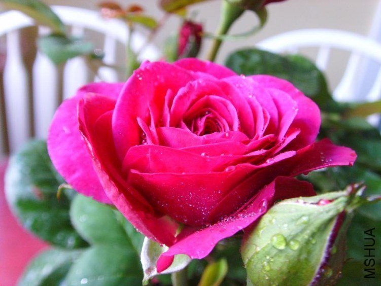 ���ٿ�³ķõ��3 of feilanduo.jpg