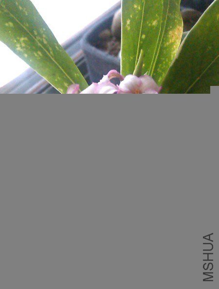 QQ��ͼ20130227085831.jpg