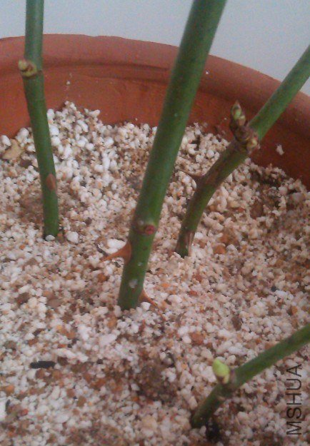 QQ��ͼ20130227085909.jpg