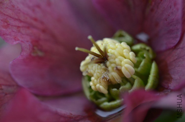 �ذ�ʺ�20130227 005.JPG