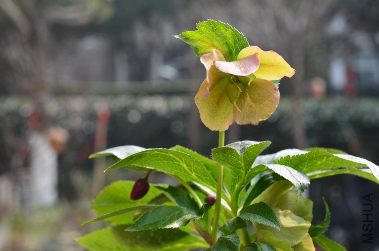 ������20130223 001.JPG