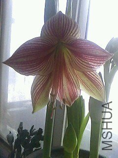 IMG0227114900.jpg