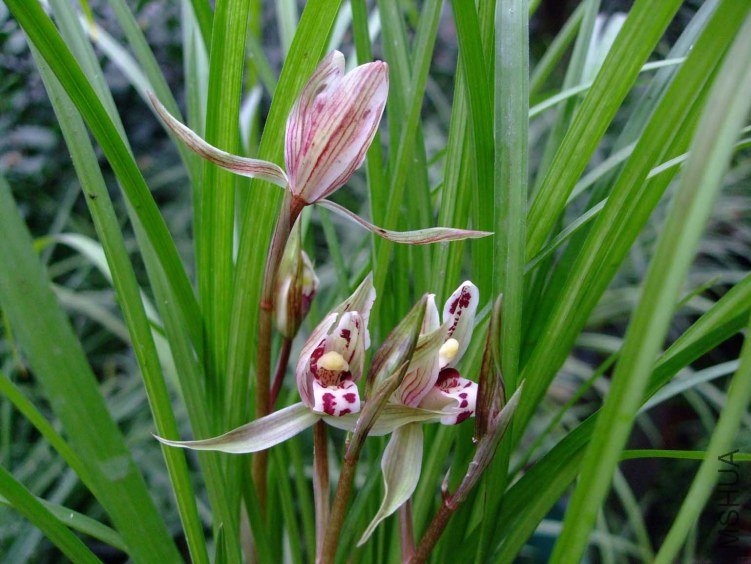 ��ɽ��� 2013-2-26 002.jpg